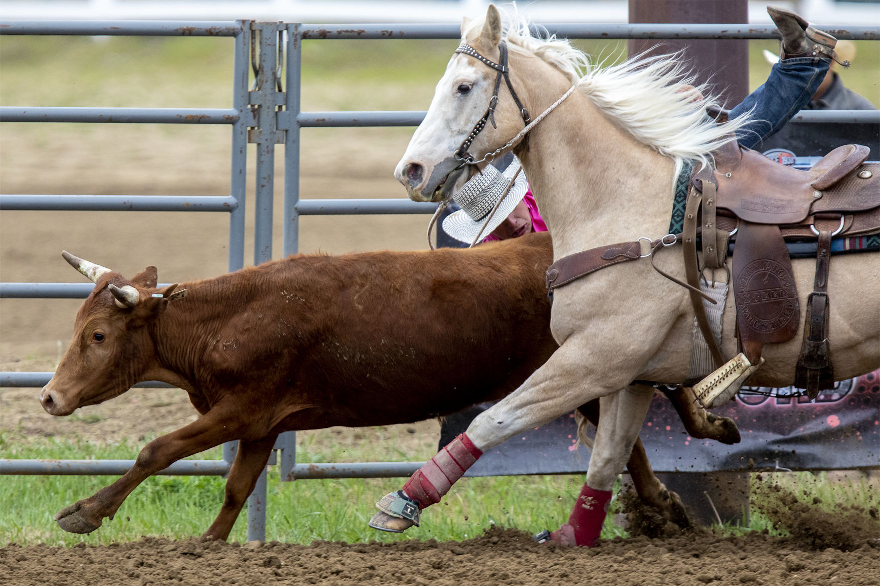 Rodeo gallery